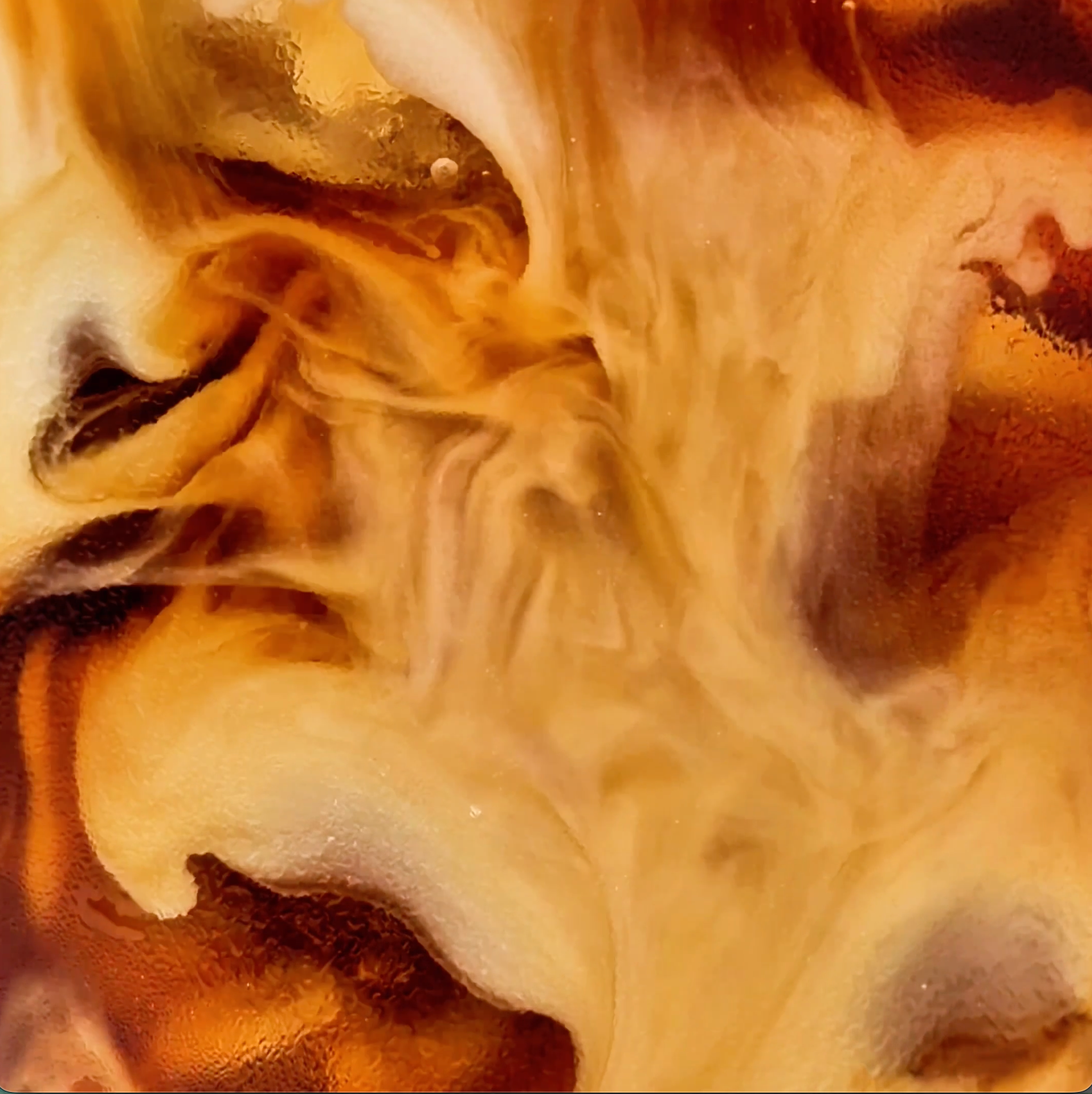 MALK Sweet Cream Coconut Milk Creamer being poured into a glass of iced coffee
