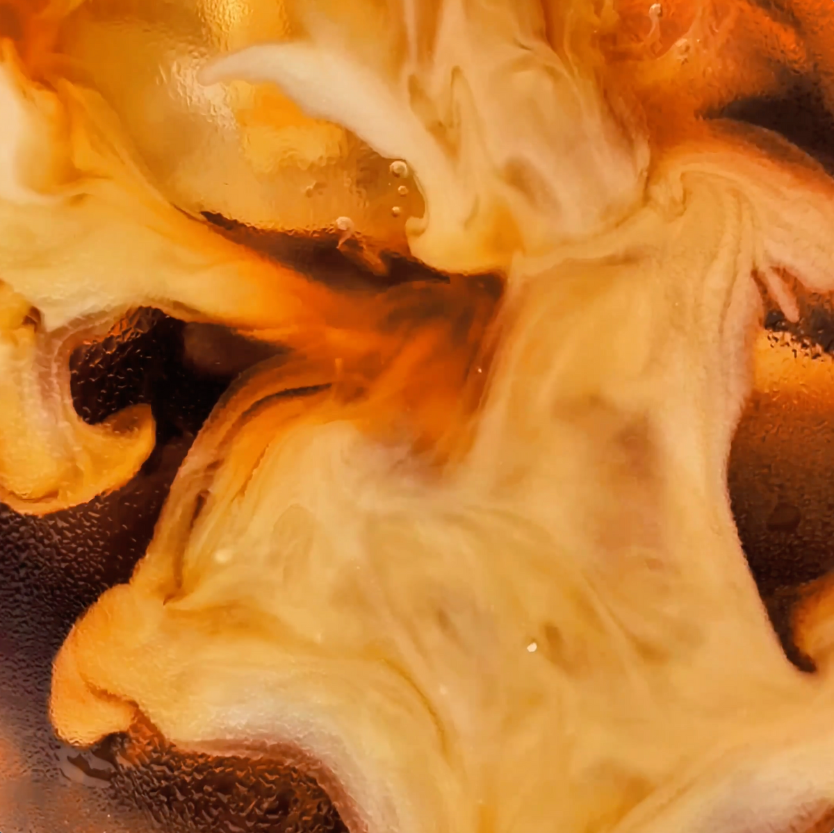 MALK Vanilla Coconut Milk Creamer being poured into iced coffee