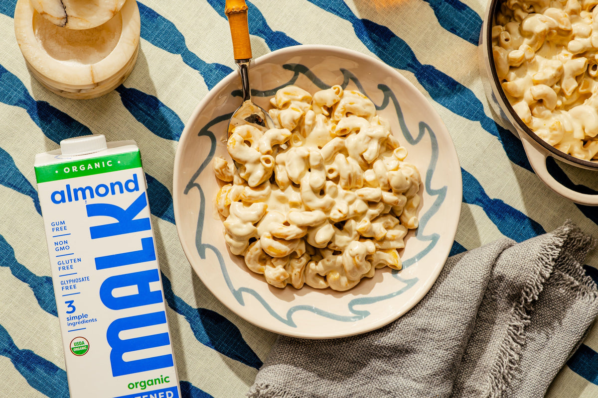 Creamy Protein Pasta