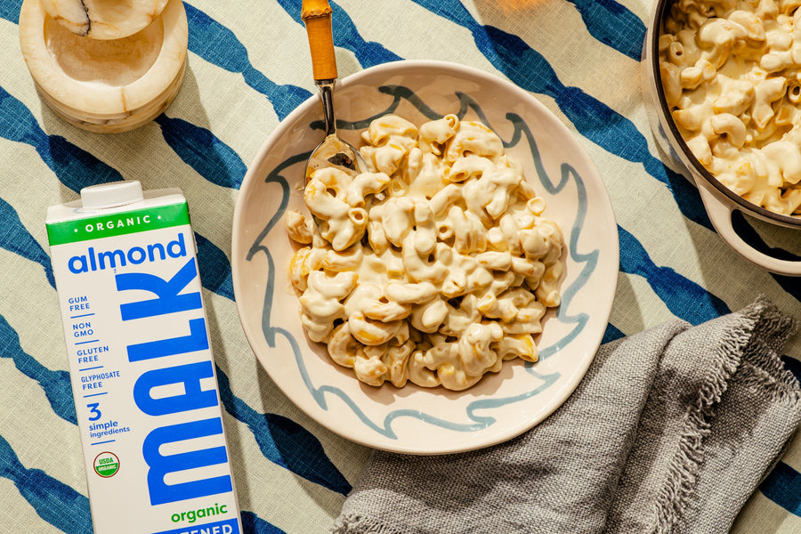 Creamy Protein Pasta
