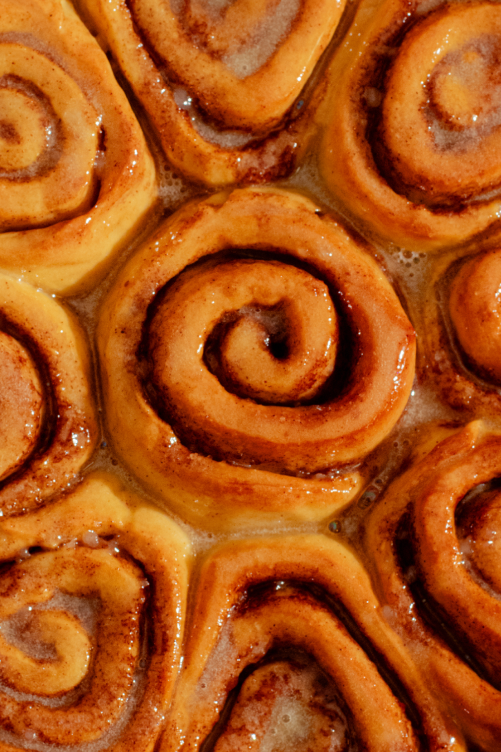 A close-up overhead view of several MALK Pumpkin Spice cinnamon rolls arranged tightly together, showing golden-brown swirls with glossy glaze.